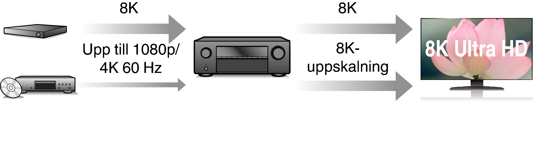 Feature2 X37